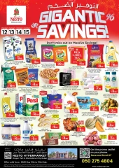 Page 1 dans Méga économiseur - bifurquer Dragon Mart 2 chez Nesto Émirats arabes unis