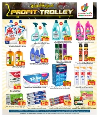 Página 13 |Ofertas de carros de beneficio en Hipermercado Dana Katar