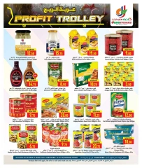 Página 9 |Ofertas de carros de beneficio en Hipermercado Dana Katar