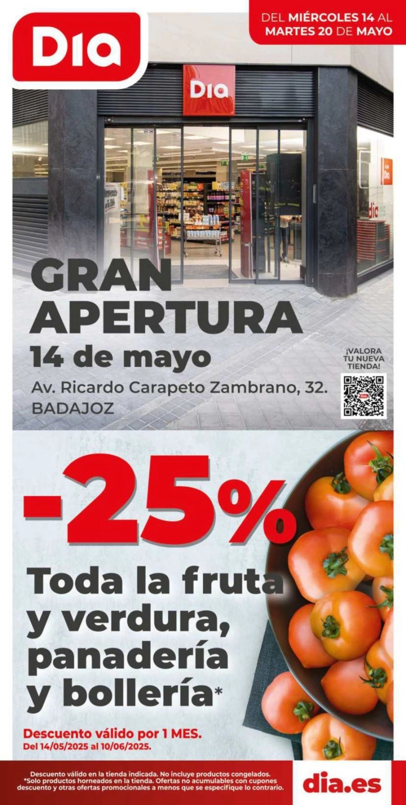 Página 1 en Gran apertura Ofertas en Dia España