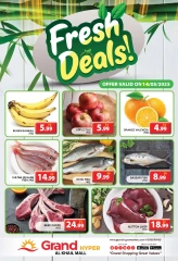 Page 2 in Special promotions at Grand Hypermarket UAE