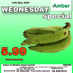 Page 5 in Wednesday offers at Anbar AL Madina UAE