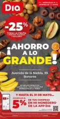 Página 1 en Ahorro a lo grande Ofertas en Dia España