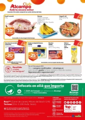 Página 20 en Guanya en estalvi en Alcampo España