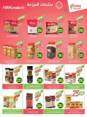 Page 13 in Anniversary offers at Farm markets Saudi Arabia