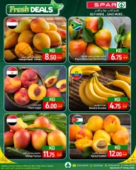 صفحة 2 |صفقات طازجة لدي سبار قطر