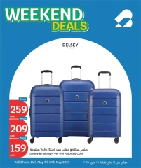 Página 12 |Las mejores ofertas en bolsos de viaje en City hiper Katar