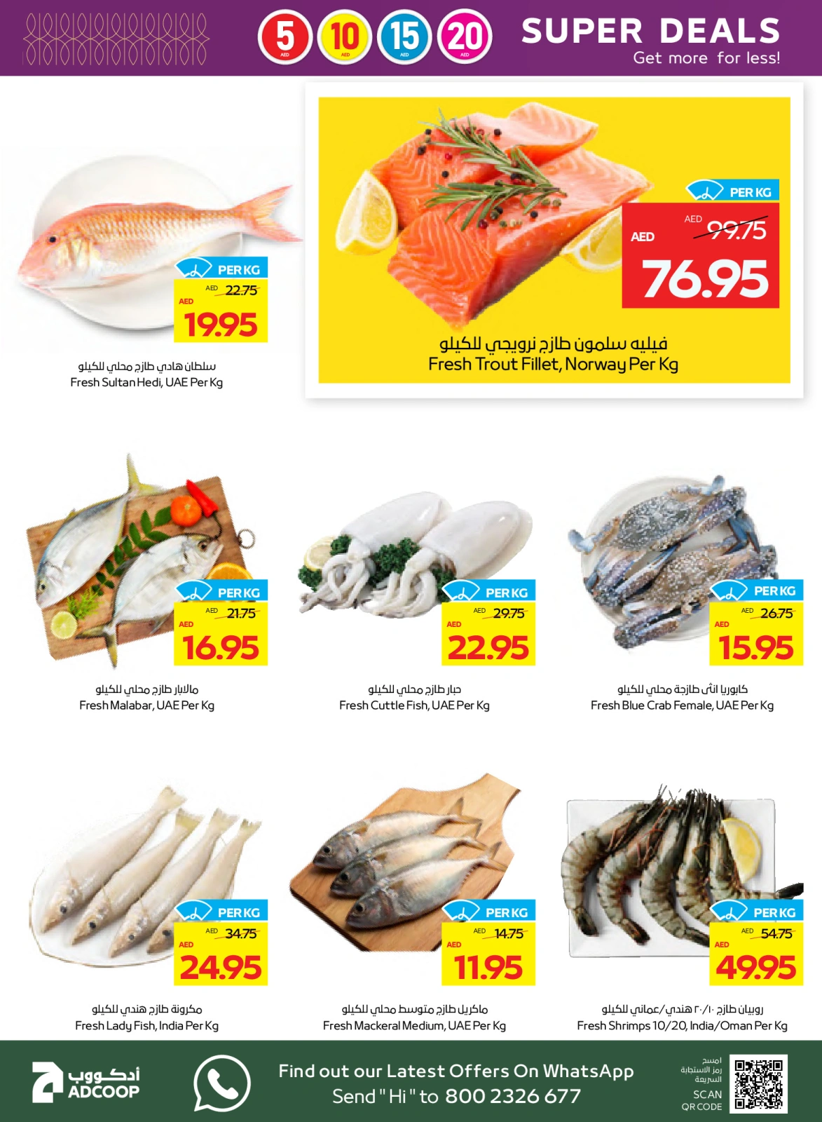 Page 6 in Great Deals at Abu Dhabi coop ADCOOP UAE