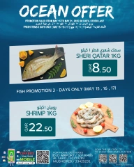 Página 4 |Ofertas de carrito de recompensas en Palacio de la comida Katar