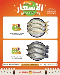 Página 7 |mejor precio en Souq Al Baladi Katar