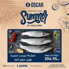 Page 1 dans Offres week-end chez Oscar Grands Magasins Egypte