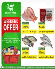 Page 3 dans Offres week-end chez Green Tree Egypte