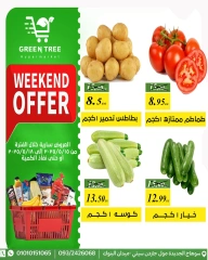 Page 6 dans Offres week-end chez Green Tree Egypte