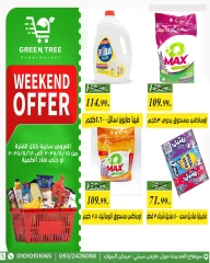 Page 13 dans Offres week-end chez Green Tree Egypte