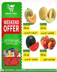 Page 7 dans Offres week-end chez Green Tree Egypte