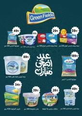 Page 33 dans Offres d'économie chez El Mahlawy Egypte