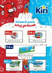 Page 23 dans Offres d'économie chez El Mahlawy Egypte
