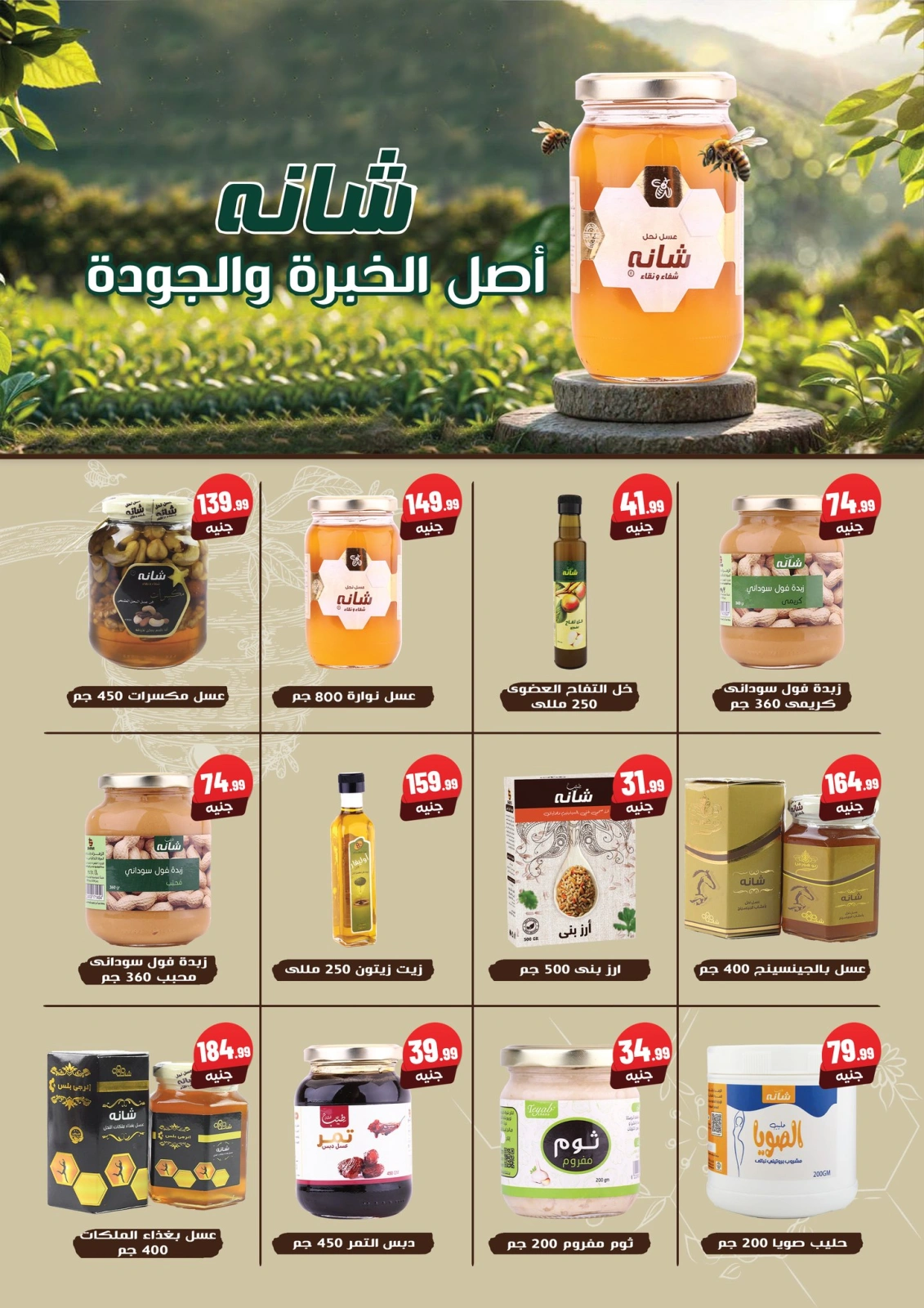 Page 40 dans Offres d'économie chez El Mahlawy Egypte