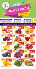 Page 2 dans Offres au meilleur prix chez Hasad Albasatin Arabie Saoudite