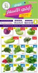 Page 3 dans Offres au meilleur prix chez Hasad Albasatin Arabie Saoudite