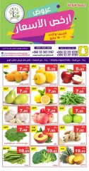 Page 1 dans Offres au meilleur prix chez Hasad Albasatin Arabie Saoudite