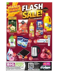 Page 2 in Flash Sale at BIGmart UAE