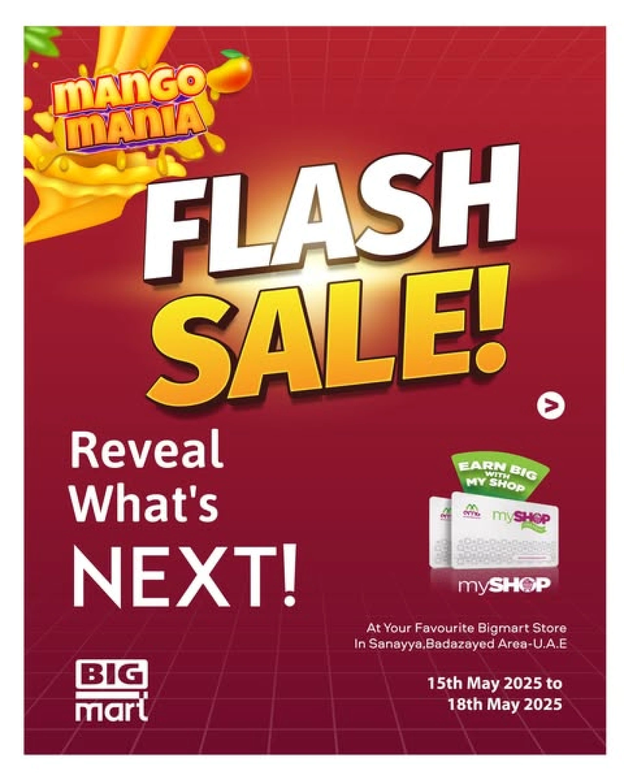 Page 1 in Flash Sale at BIGmart UAE