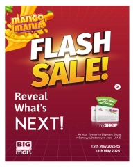 Page 1 in Flash Sale at BIGmart UAE