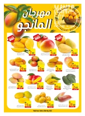 صفحة 3 |عروض الذكرى السنوية لدي سفير الإمارات