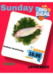 Page 11 in One day offers at Anbar AL Madina UAE