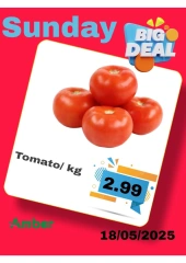 Page 5 in One day offers at Anbar AL Madina UAE