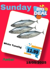 Page 8 in One day offers at Anbar AL Madina UAE