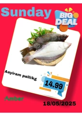 Page 10 in One day offers at Anbar AL Madina UAE