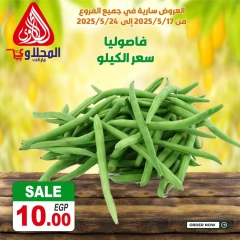 صفحة 15 ضمن عروض طازجة في المحلاوى ماركت مصر