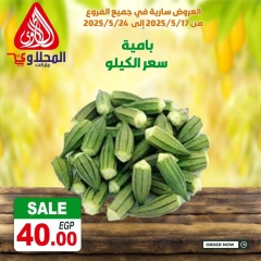 صفحة 10 ضمن عروض طازجة في المحلاوى ماركت مصر