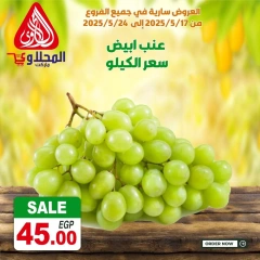 صفحة 6 ضمن عروض طازجة في المحلاوى ماركت مصر
