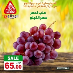 صفحة 7 ضمن عروض طازجة في المحلاوى ماركت مصر