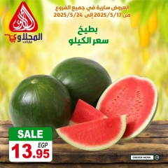 صفحة 8 ضمن عروض طازجة في المحلاوى ماركت مصر