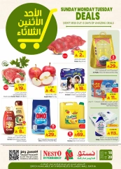 صفحة 1 ضمن عروض منتصف الإسبوع في نستو السعودية