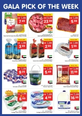 Page 2 in Pick of the Week at Gala supermarket UAE