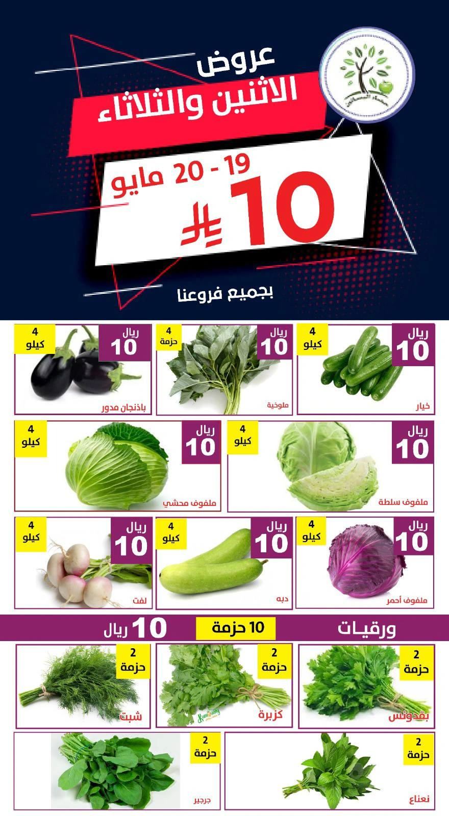 Página 3 en Ofrece 10 riales en Hasad Albasatin Arabia Saudita