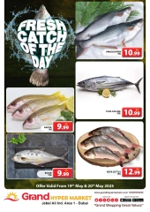 Page 1 in Fresh Fish Deals at Grand Hypermarket UAE