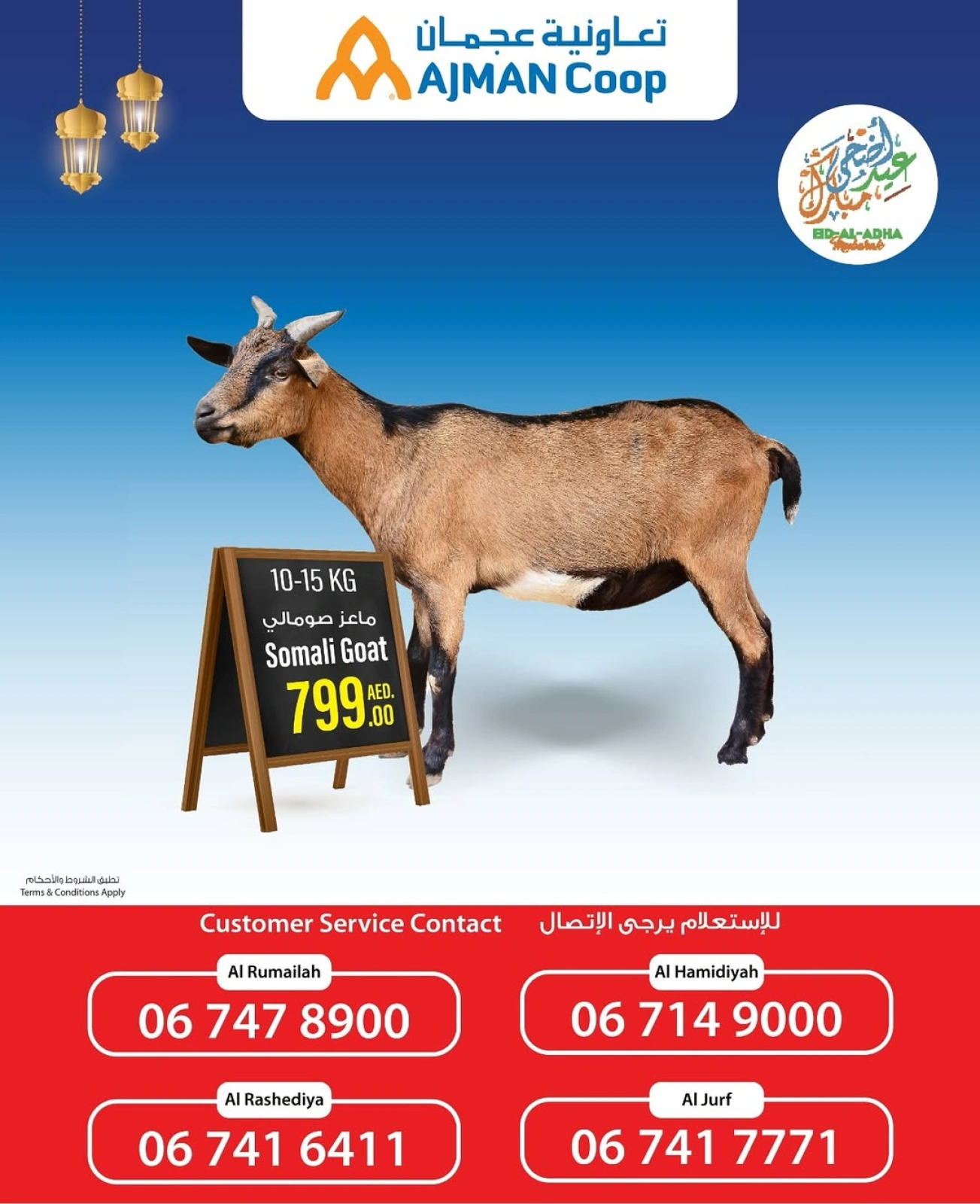 Page 3 in Book Your Sacrifice at Ajman Coop UAE