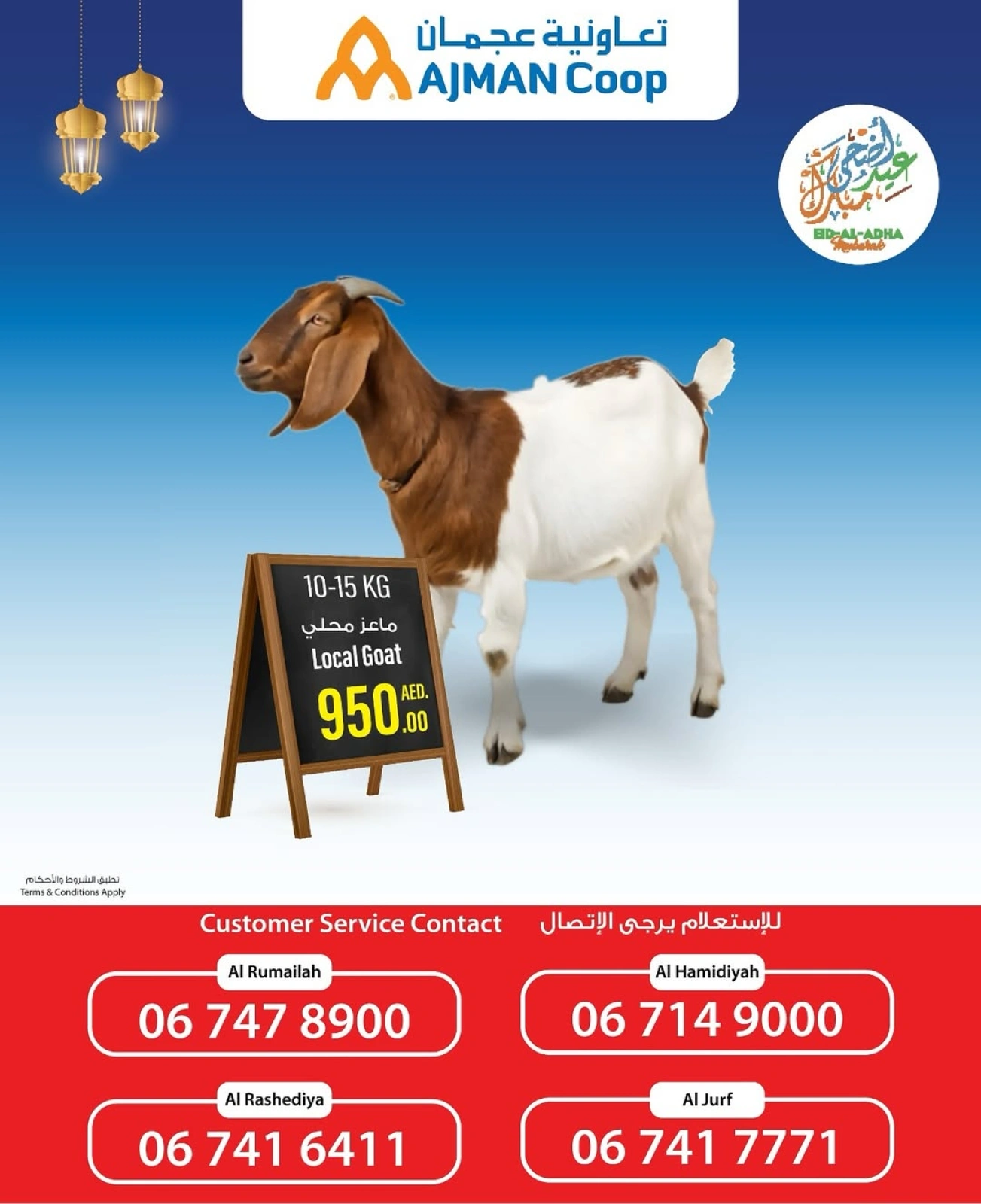 Page 4 in Book Your Sacrifice at Ajman Coop UAE
