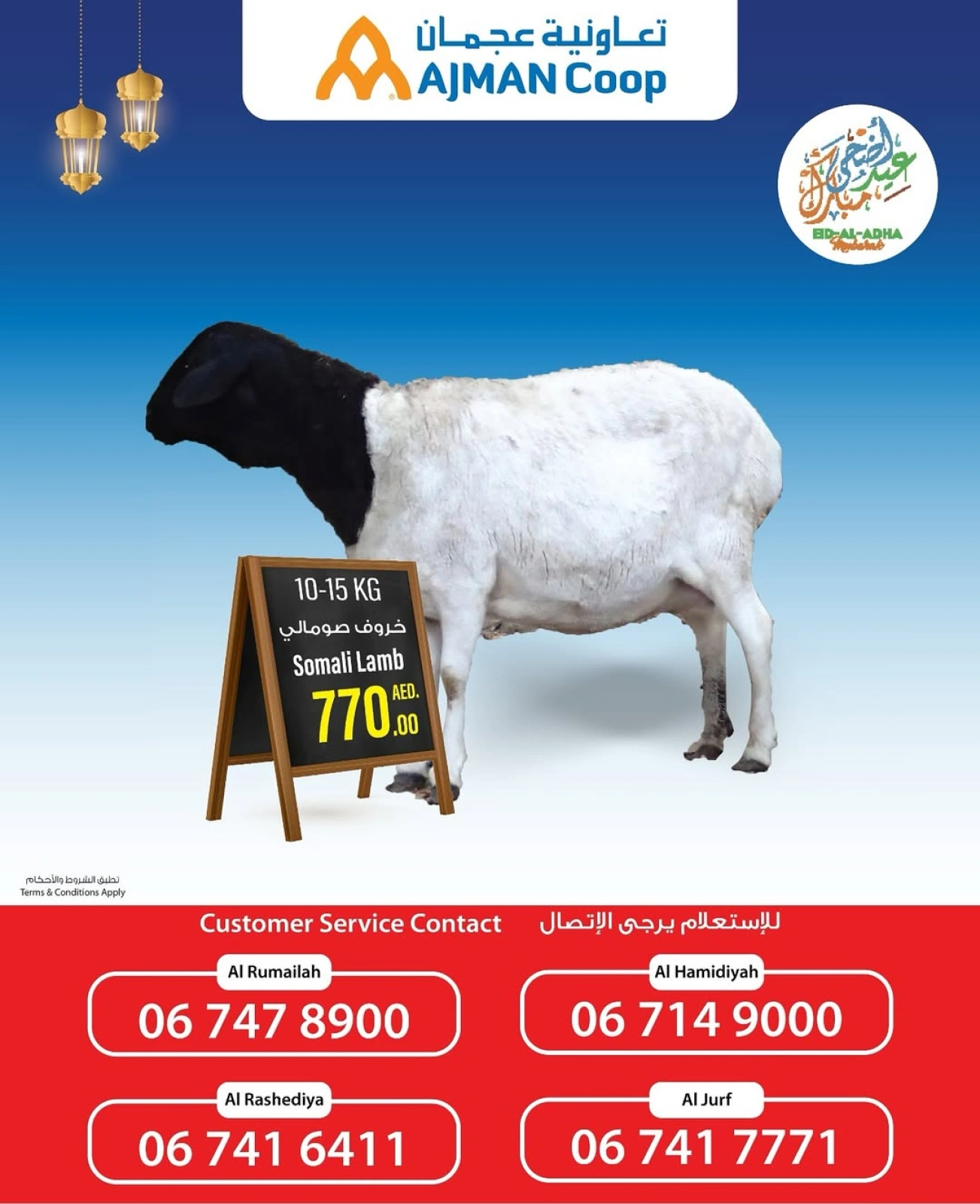Page 2 in Book Your Sacrifice at Ajman Coop UAE