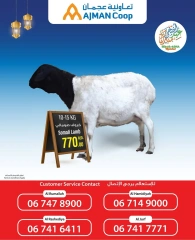 صفحة 2 |عروض احجز أضحيتك لدي تعاونية عجمان الإمارات