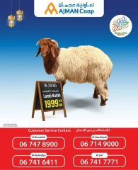 صفحة 5 |عروض احجز أضحيتك لدي تعاونية عجمان الإمارات