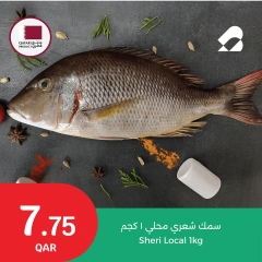 Página 10 |Nuevas ofertas en City hiper Katar