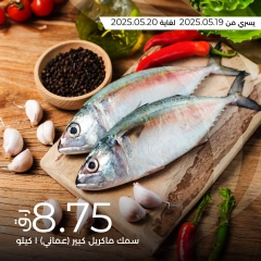 صفحة 2 |عروض الأسماك لدي لولو قطر