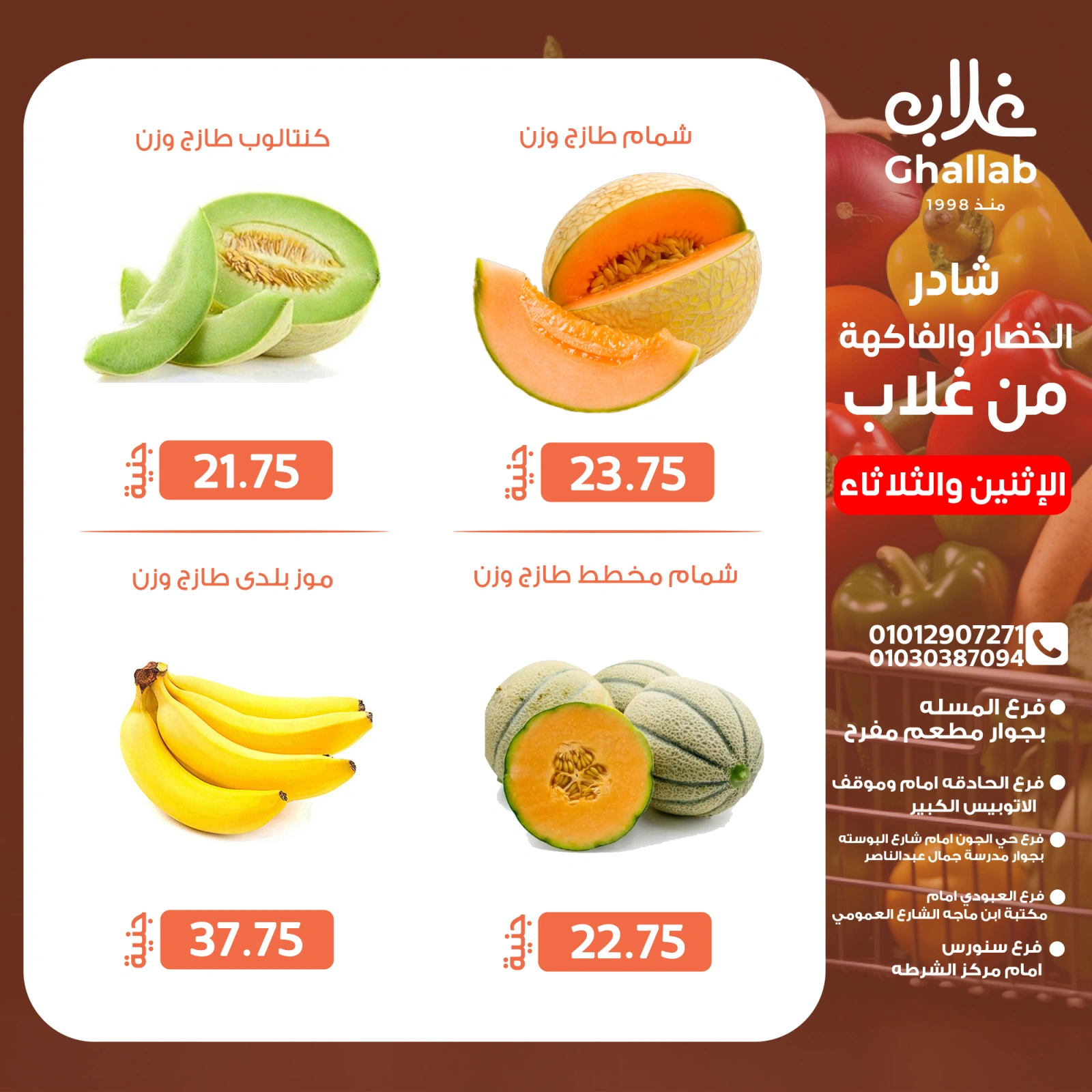 Page 11 dans Fresh deals chez Marchés de Ghallab Egypte